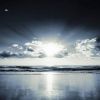 Download track Antidote - Northern Light