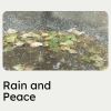 Download track Raining Weather