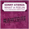 Download track What A Feelin (Luca Debonaire Omerta Mix)