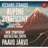 Download track Strauss- An Alpine Symphony, Op. 64, TrV 233- VII. Apparition