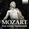Download track Divertimento In D Major, K. 136 III. Presto
