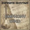 Download track Symphony Nº3 Op. 55 Eroica 1st Movement Allegro Con Brio