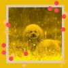 Download track Marvellous Jazz Trio - Vibe For Separation Anxiety