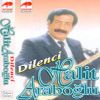 Download track Dilenci