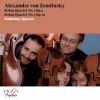 Download track String Quartet No. 1 In A Major, Op. 4: I. Allegro Con Fuoco