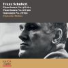 Download track Piano Sonata No. 21 In B-Flat Major, D. 960 III. Scherzo. Allegro Vivace Con Delicatezza - Trio