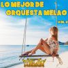 Download track Tributo A Conjunto Primavera (Cover)