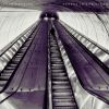 Download track It Moves Me