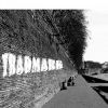 Download track Tradmark - Transition