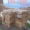Download track The Riots - Art City - Blue Orange