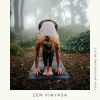 Download track Zen Zephyr