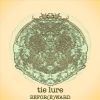 Download track Veins Intersect