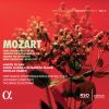 Download track Horn Concerto In D Major, K. 412 / 386b: II. Rondo. Allegro