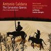 Download track 08 - Don Chisciotte In Corte Della Duchessa - Menueto