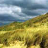 Download track Afslag Wassenaar Zuid