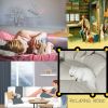 Download track Music Emptying Thoughts As I Look At Pets