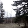Download track D E S P A I R