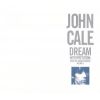 Download track A Midnight Rain Of Green Wrens A The Worlds Tallest Building