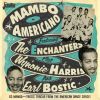 Download track Loop De Loop Mambo