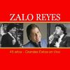 Download track Un Ramito De Violetas (En Vivo)