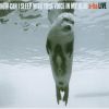 Download track Crying In The Rain