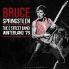 Download track Jungleland (Live)