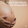 Download track The Birth Of Your First Born Child