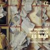 Download track Wir Danken Dir, Gott, BWV 29: Sinfonia In D Major