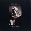 Download track How Could I Be Wrong (BBC)
