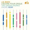 Download track 15. Fantaisie Super Jesu Meine Freude BWV 713