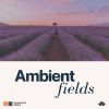 Download track Rhubarb And Raspberry