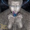 Download track Lady Butterfly (Fly Away)