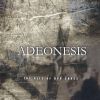 Download track Christ Filled With Falsehoods