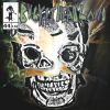 Download track Snow Owl