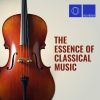Download track Concerto For Solo Keyboard No. 3 In D Minor, BWV 974: II. Adagio