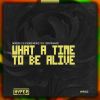Download track What A Time To Be Alive