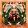 Download track One Step Forward, Two Steps Back