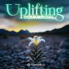 Download track Shining Path