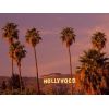 Download track California