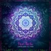 Download track Look For The Light