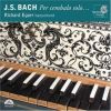 Download track 11. Italian Concerto In F Major BWV 971 - 1. [Allegro]