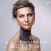 Download track Concerto Grosso In B-Flat Major, Op. 3 No. 2, HWV 313- II. Largo In G Minor