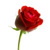 Download track Memory Of A Dream (Chill Out Mix)