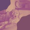 Download track Debonair Bossa - Vibe For Dogs At Home Alone