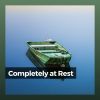 Download track Calm Life, Pt. 17