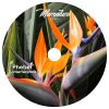 Download track Data Flow
