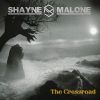 Download track Now Is All You Have