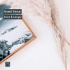 Download track Under A Smiling Moon