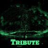 Download track Kickapoo