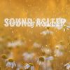 Download track Pure Evening Rain Sounds, Pt. 14